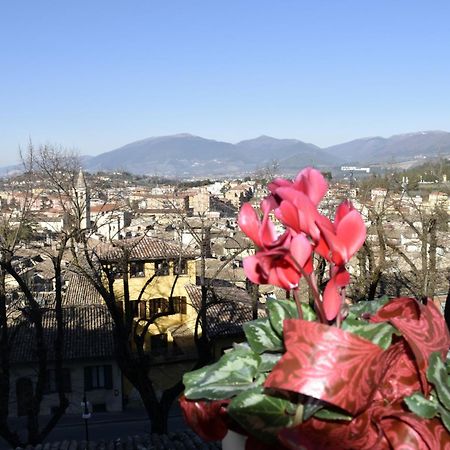 Le Mura Antiche Spoleto Exteriör bild